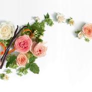 Rosa, Mandarino, Vaniglia e Patchouli